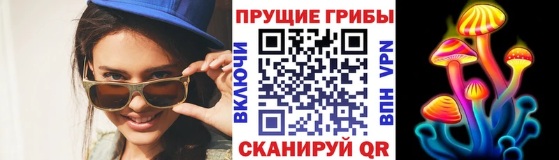 blacksprut ONION  Валдай  Галлюциногенные грибы Psilocybine cubensis 