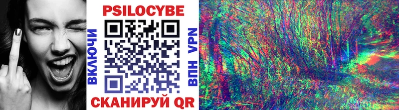 Псилоцибиновые грибы Psilocybe Валдай